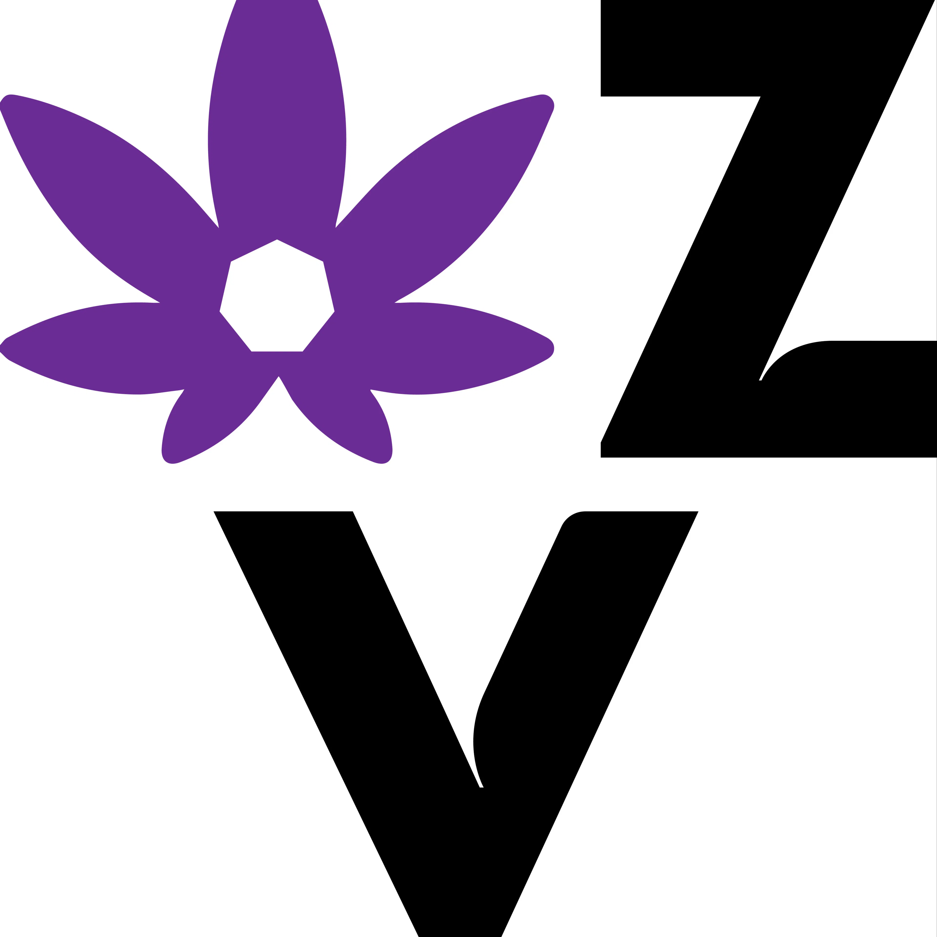 ZeedVault logo