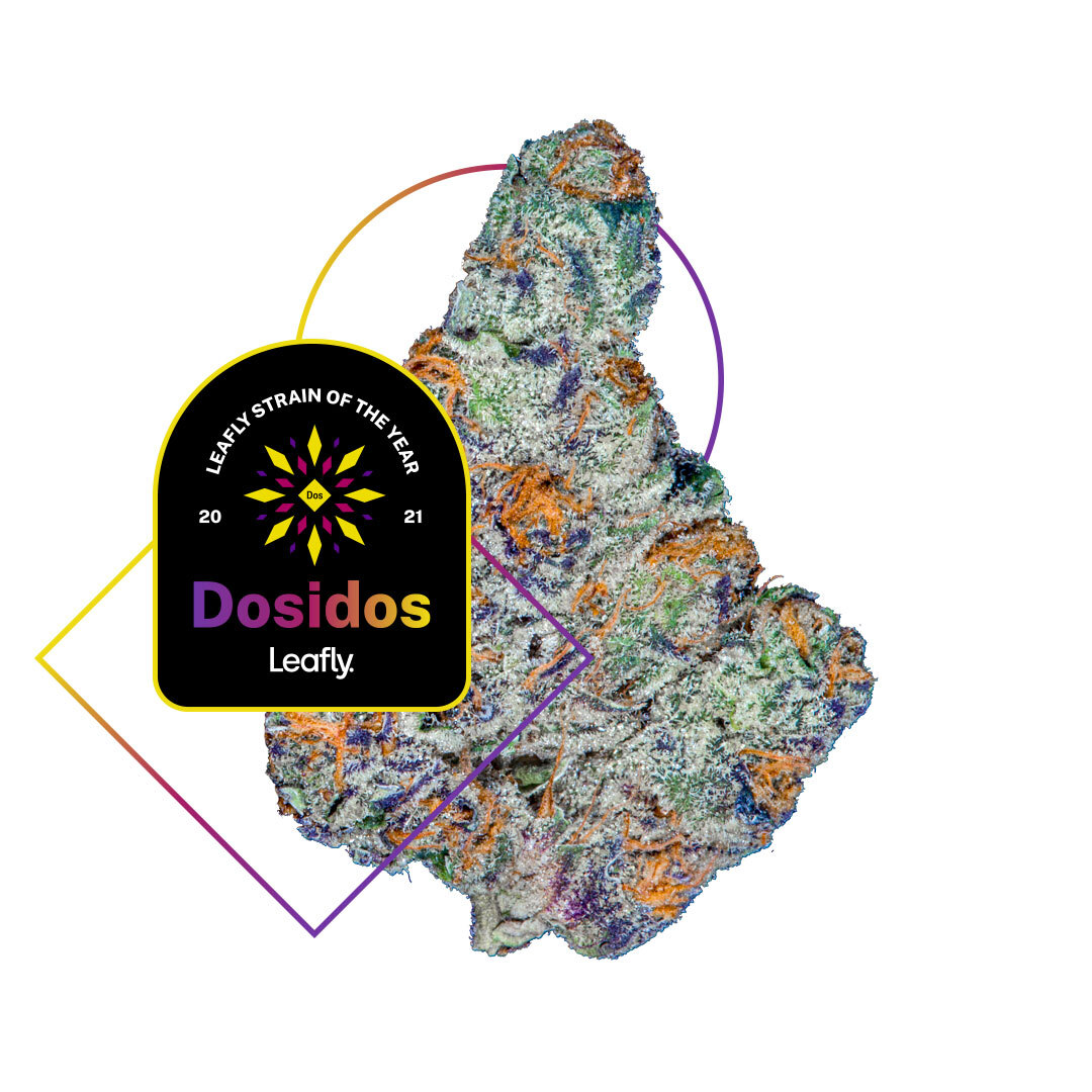 Dosidos Weed Strain Effects & Reviews | Leafly