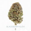 Product image for Blackberry Kush