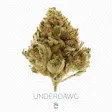Product image for Under Dawg