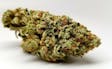 Product image for OG Kush Breath Premium Tier