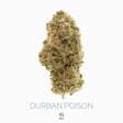 Product image for Durban Poison