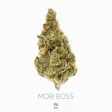 Product image for Mob Boss