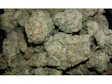 Product image for Flo