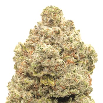 MONTANA MODIFIED GAS