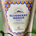Blueberry Mango Gummies 100mg 10-Pack