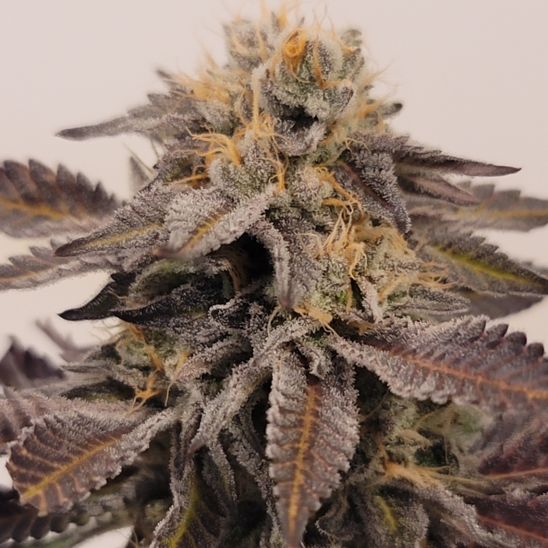 "Lamb's Bread" by Sticky Diamond 