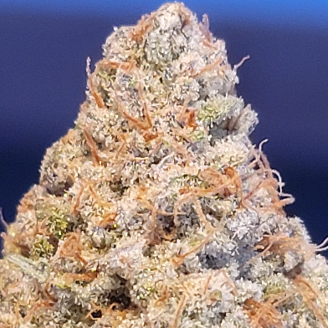 Peanut Butter Breath 