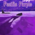 Pacific Purple