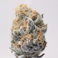 Gold Member- 8th 3.5g