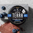 Kiva | Milk Chocolate Blueberry Bites 20Pk - Hybrid