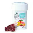 Wana Island Punch Indica Fast Acting Gummies, 100mg