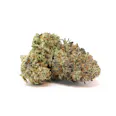 Dosi Woah (I/H) Pre Pack 1/8