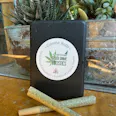 Papaya Punch Pre-Roll - GnomeRolled Joints 10-Pack