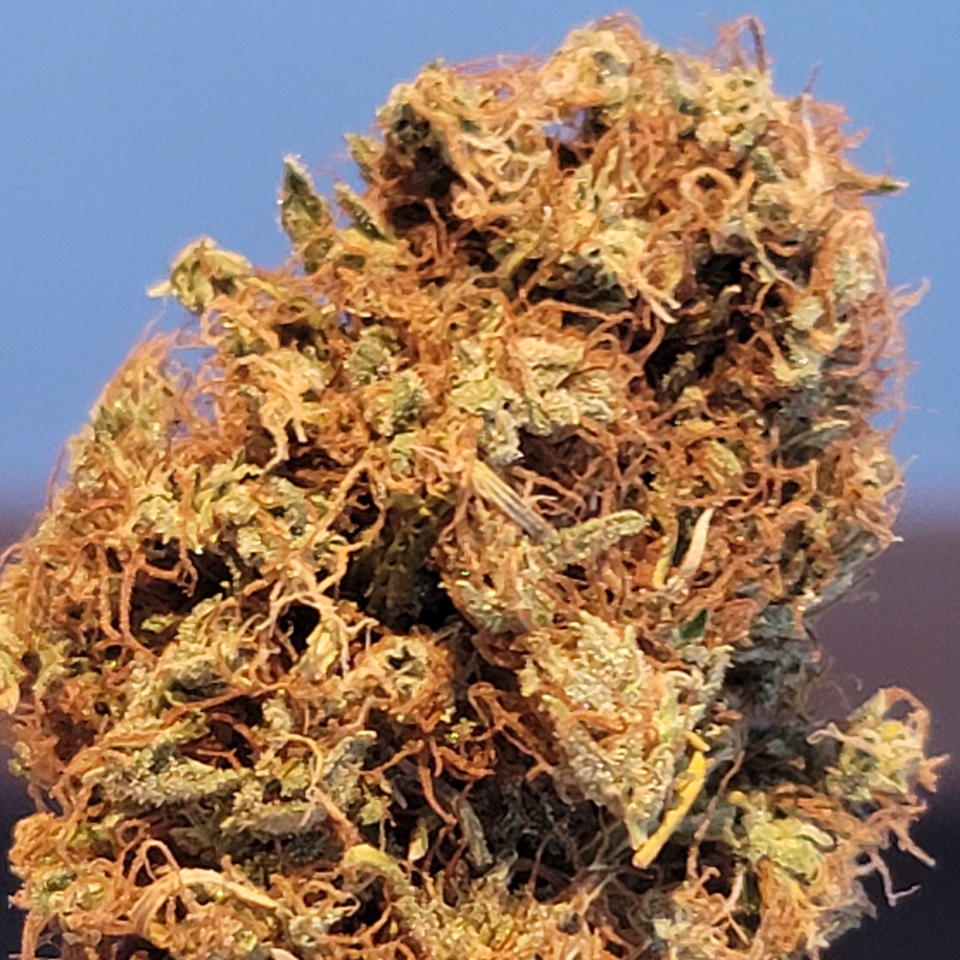 Snoop Dogg OG