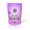 THC + CBD High Spectrum Gummies | Blackberry