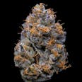 Velvet Cream Feminized Cannabis Seeds