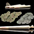 THCa Pre-roll Available in Multiple Indoor Strains as well as Living Soil and Hydro