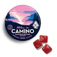 Camino Gummies Wild Berry: Chill