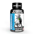 Cannabull Blue Raspberry Nano Cannabinoid Syrup | 250mg
