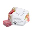 Pomegranate 1:1 CBD + Hybrid Enhanced Gummies 50mg