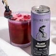 Black Currant THC Seltzer (Single Can)