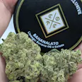 Cream of the Crop
