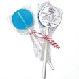Maine Blueberry Lollipop