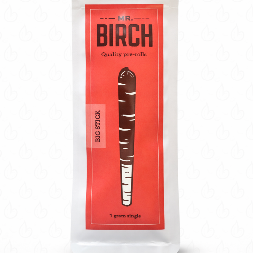 Ice Mimosa Big Stick
