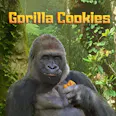 Gorilla Cookies Sugar Trim