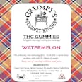 PLUS Uplift Sour Watermelon Gummies (100mg)