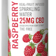 Wyld CBD Sparkling Water Raspberry