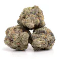 Rainbow Runtz | Indica