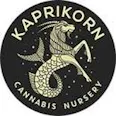 Kaprikorn - White Choc Chip x Kozeto .5g Joint 10-Pack