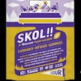 SKOL - THC Gummies