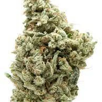 Original Glue