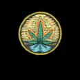 Panhead Punch, Sun-Grown