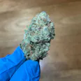 GMO Cookies | Indica