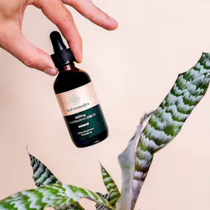 Photo of Broad Spectrum CBD Tinctures