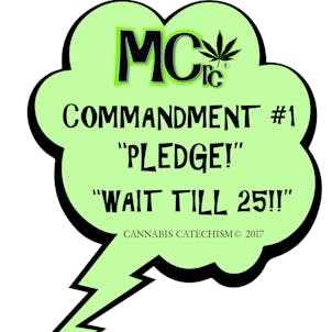 Photo of CANNABIS CATECHISM: Promoting the Responsible Consumption of the Cannabis Plant / Gift Book Edition