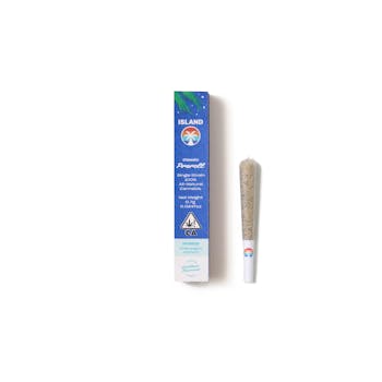 Champagne Confetti Preroll