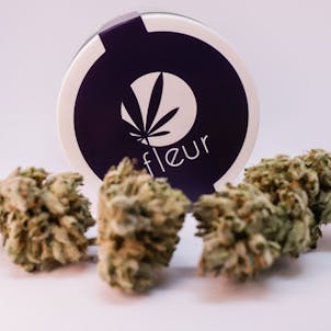 Photo of White Ghani