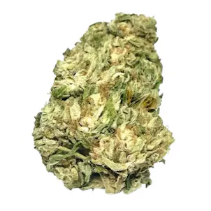 Photo of CBG Snow White