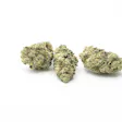 Product image for Sour Garlic 1g Flower