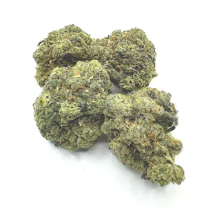 Photo of Laughing Buddha THCA Flower