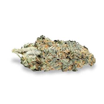 Photo of CBD Express Autoflower Seeds