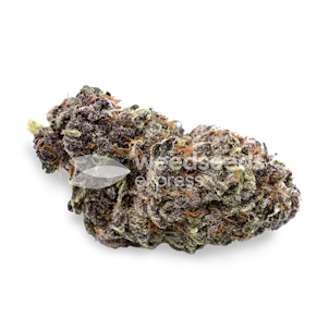 Photo of Purple Punch Autoflower Seeds