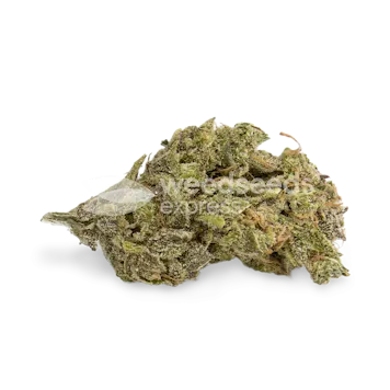 Photo of Northern Lights Feminized Seeds