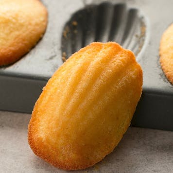 Photo of French Madeleine Cookie Sponge Cake MINI MADS Cookies 100mg 10 Pack