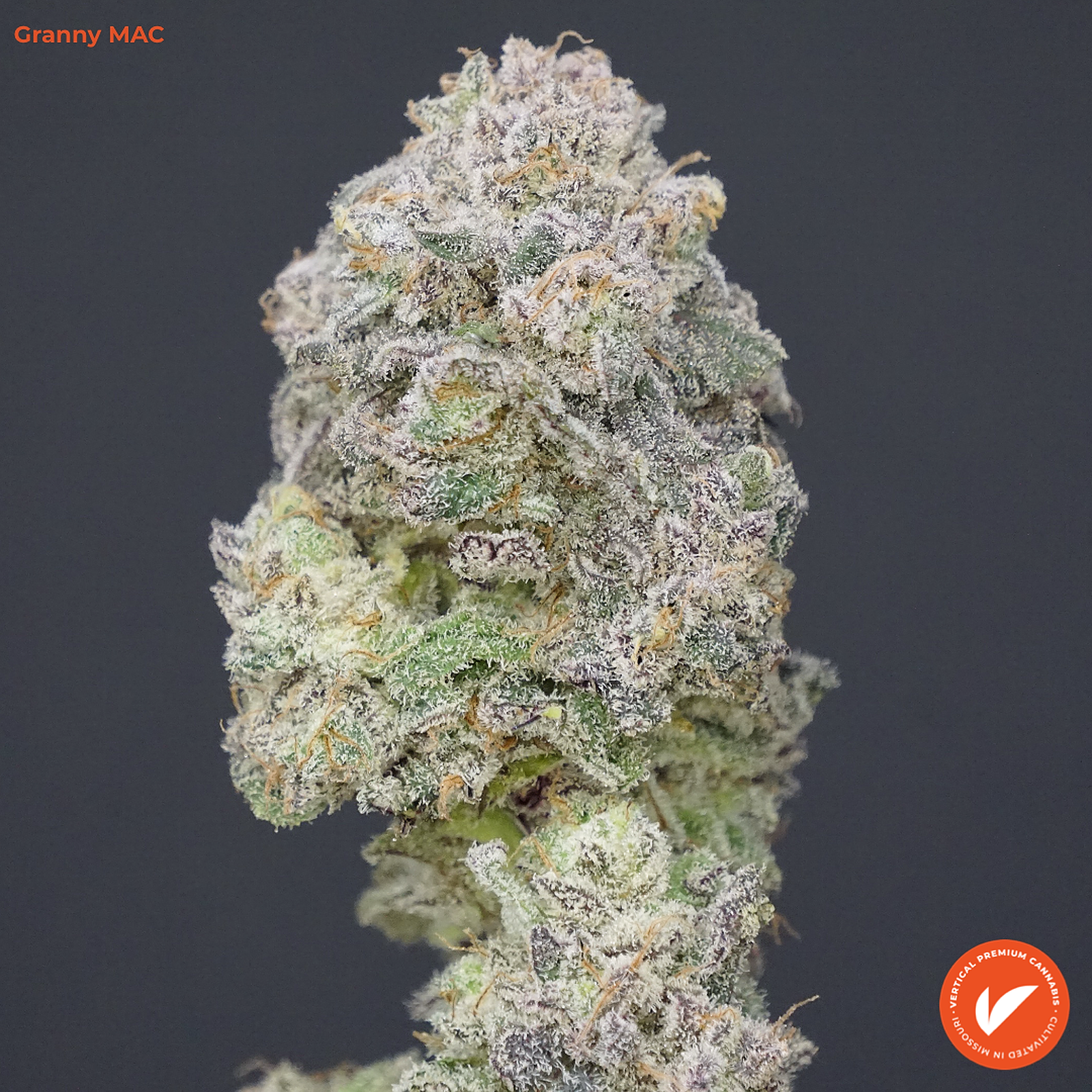 Vertical Cannabis: Granny MAC | Leafly